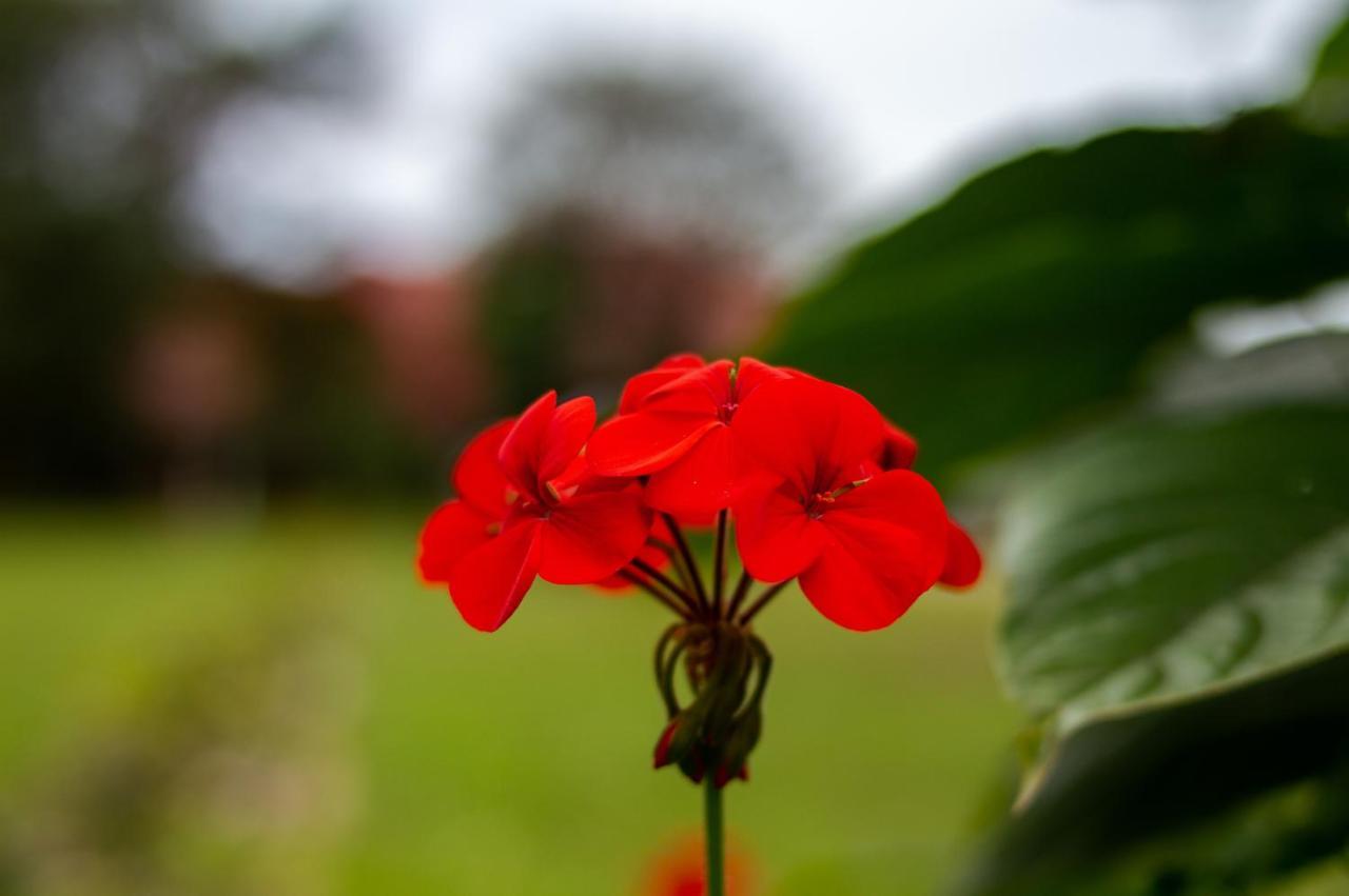 Pousada Rio Vermelho Florianópolis Kültér fotó